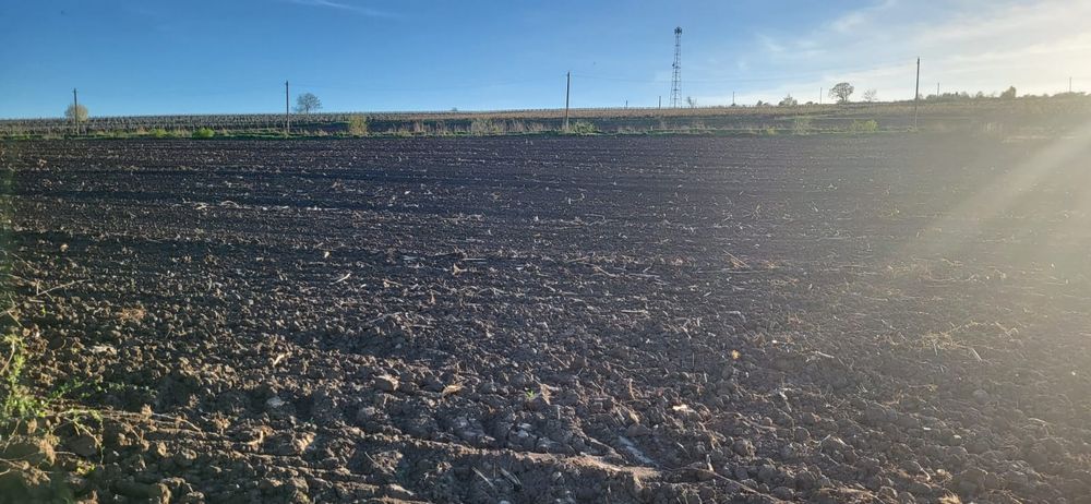 Sorogari - parcele teren direct propietar