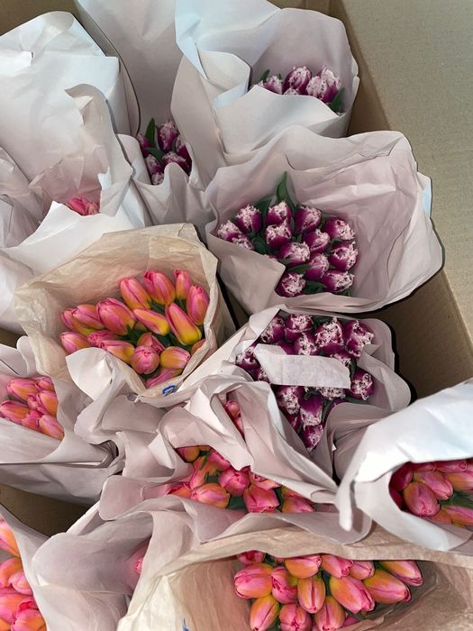 Тюльпаны к 8 марта! Самые низкие цены в городе!