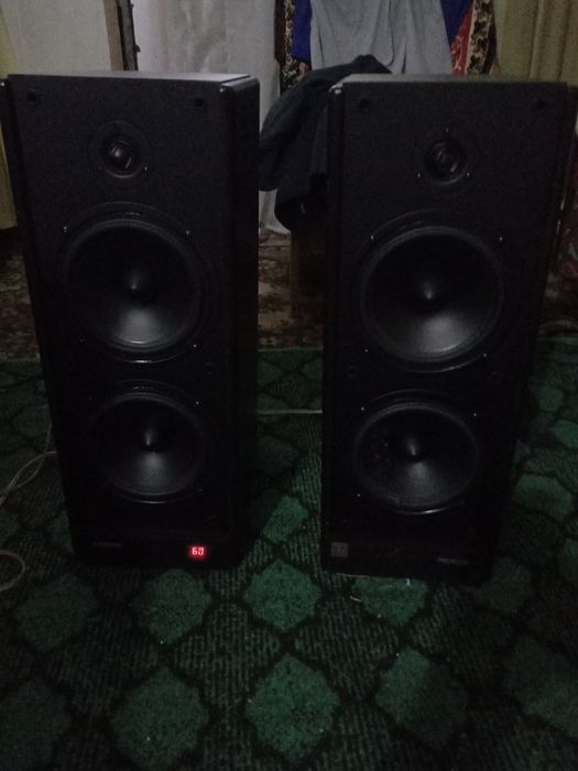 Акустическая система