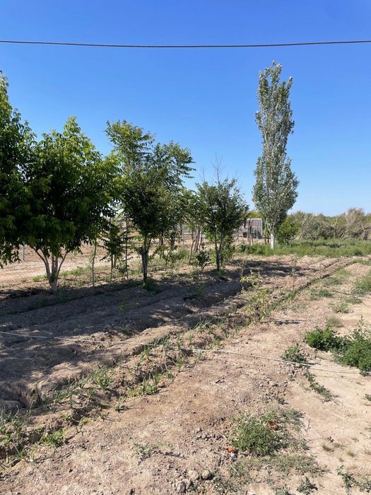 Срочно фазенда сатылады