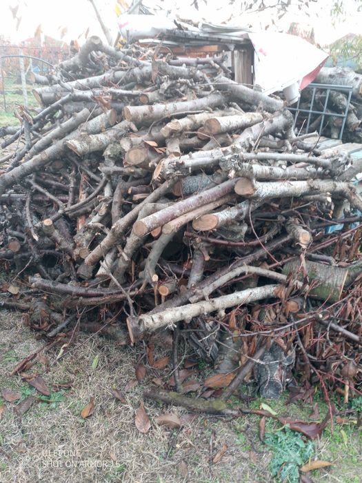 Дърва за огрев. От изкарани череши