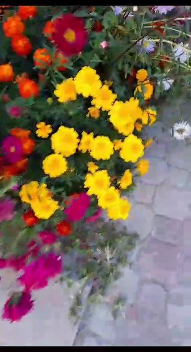 Продам жастар 1. времянку люкс