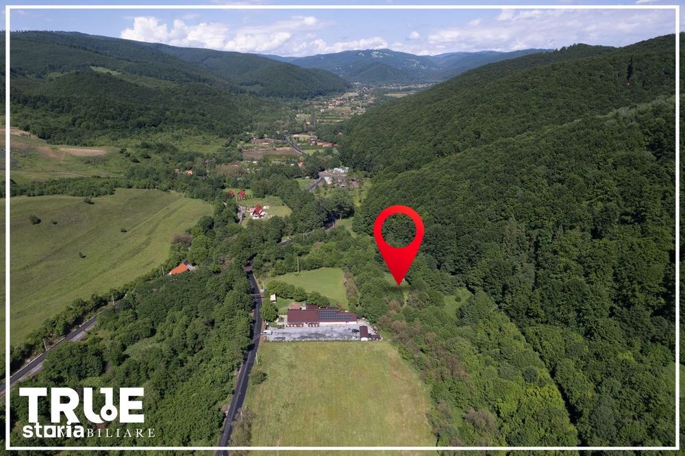 Teren intravilan 2.800 m² în Câmpu Cetății – liniște și natură