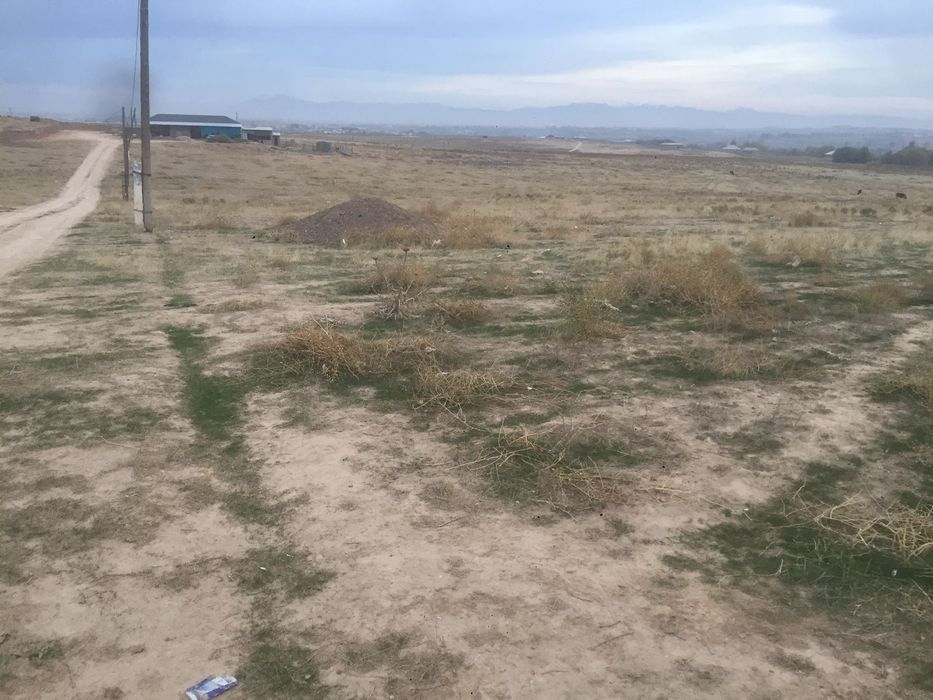 Сарагач кашарда Жер сатыдад