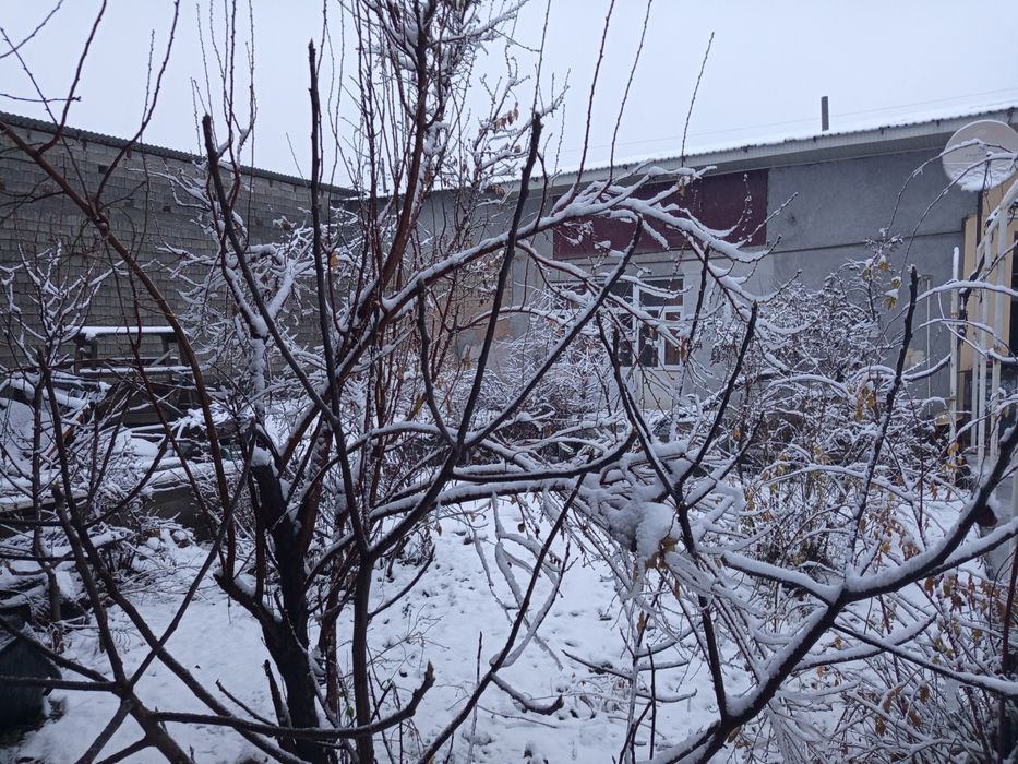 Жомбой Марказида Ховли Сотилади !