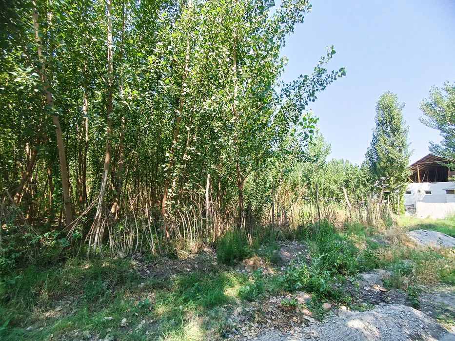 Pul zaril  zudlik bilan Yer sotiladi  23 sotix