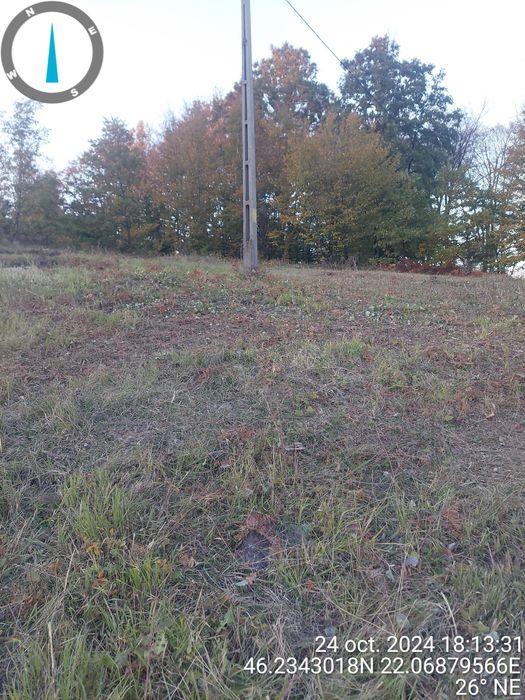 Vând 2.9 ha teren chisindia sat vasoaia/pret pe hectar