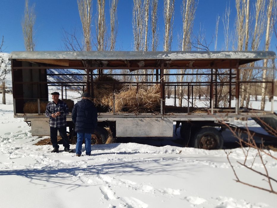 Пчелоприцеп, прицеп для пчёл