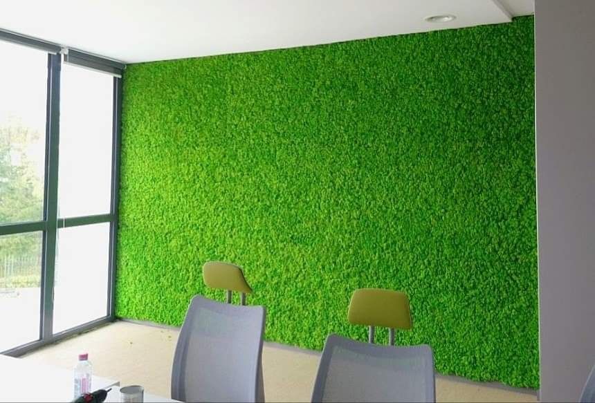 Интериорно озеленяване с естествен скандинавски мъх