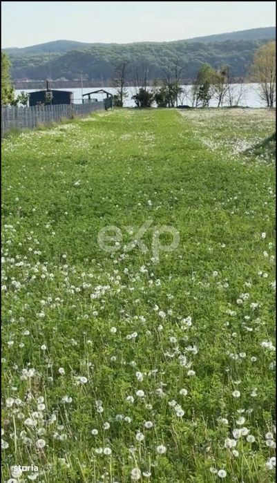 Teren 2100 mp cu iesire la lac – Budeasa Mare
