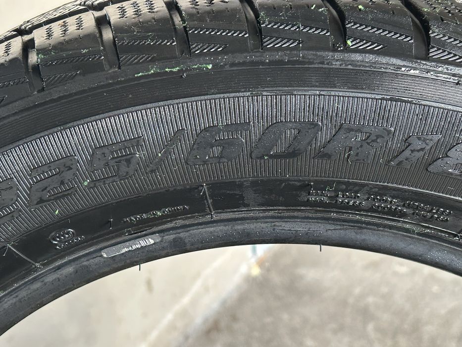 Зимнии ризина R18