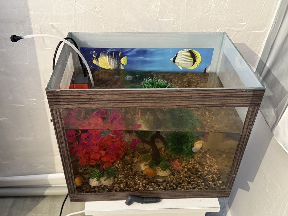 Продается аквариум с рыбками и улитками