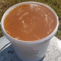 Продам мед разнотравие в ведрах