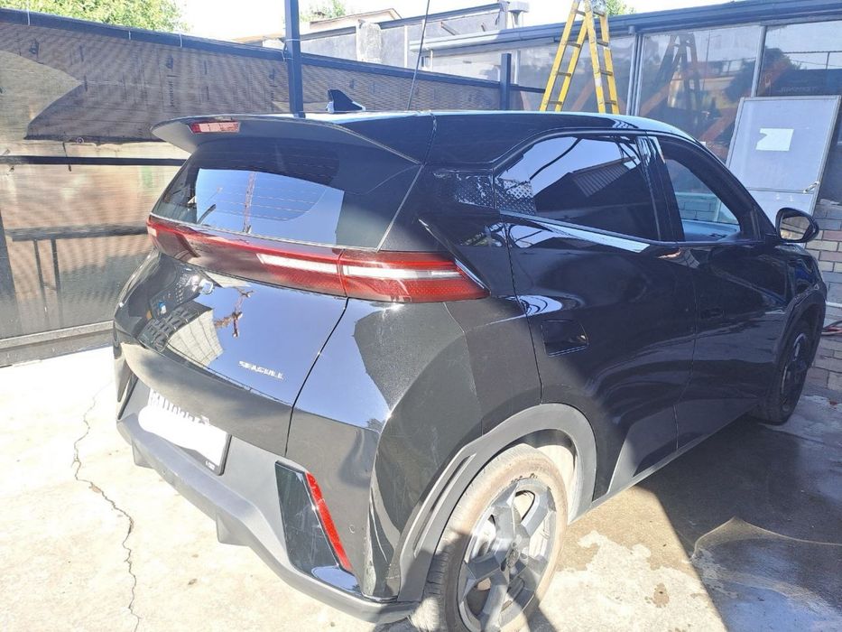 Byd Seagull 2024
