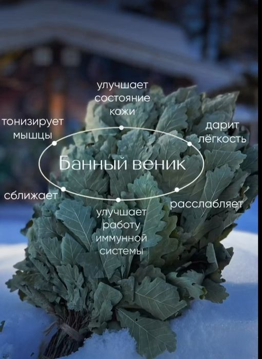 Банный комплекс на выезд