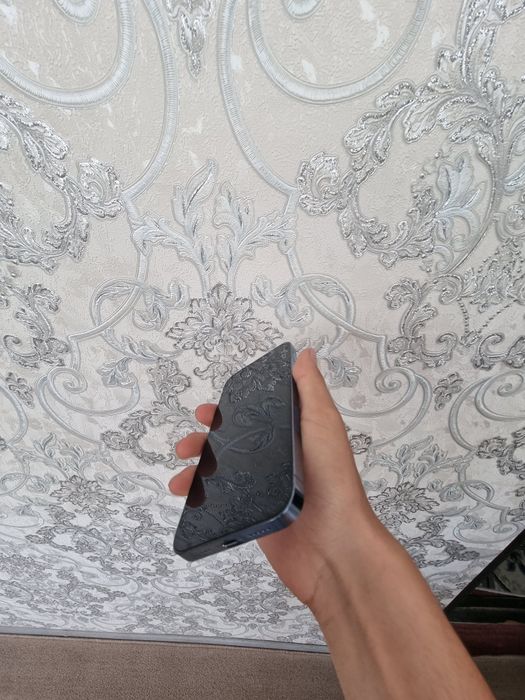 IPhone 13 Pro uz