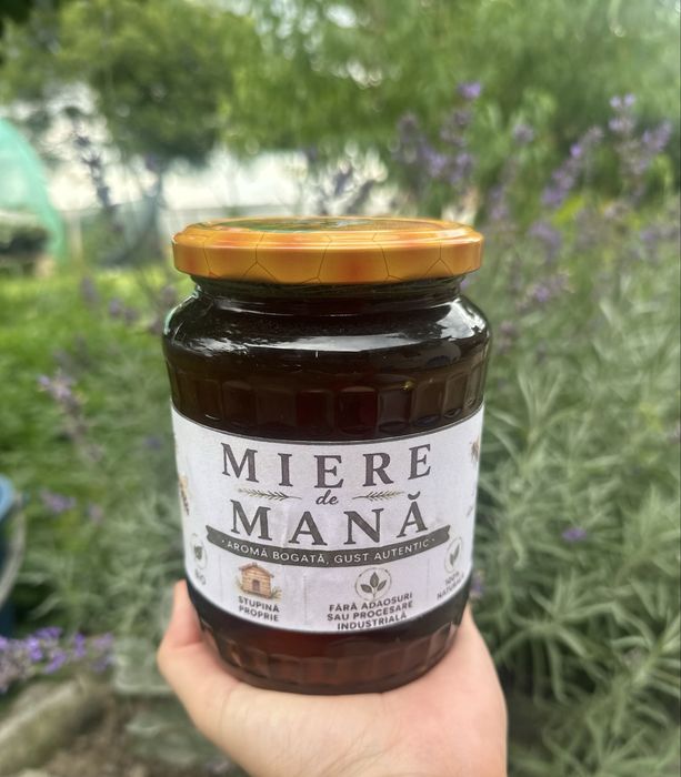 Vând miere de salcâm 100%naturală