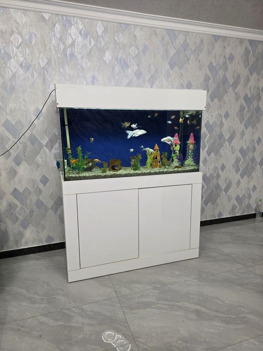 Kamplekt Akvarium 400L + Baliqlar + Mebel + Atman filtr bilan sotiladi
