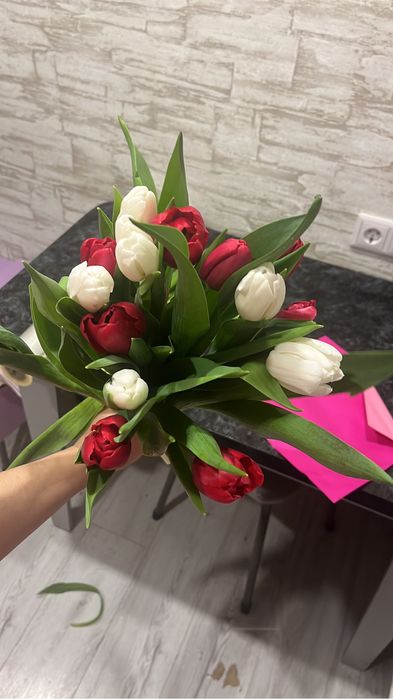 Продам тюльпаны 600