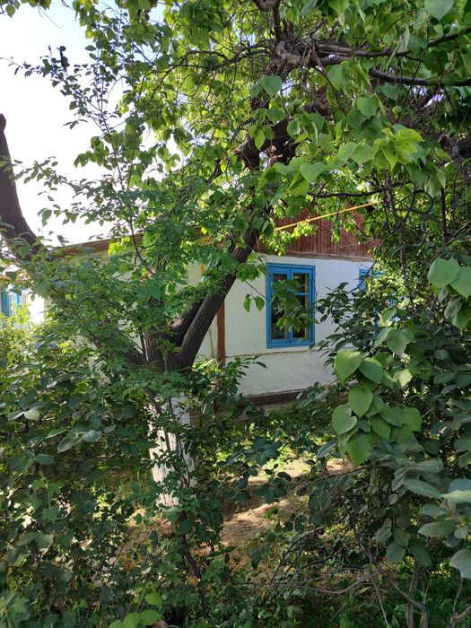 Uy ховли - 10+4 sotka, Angren Geolog