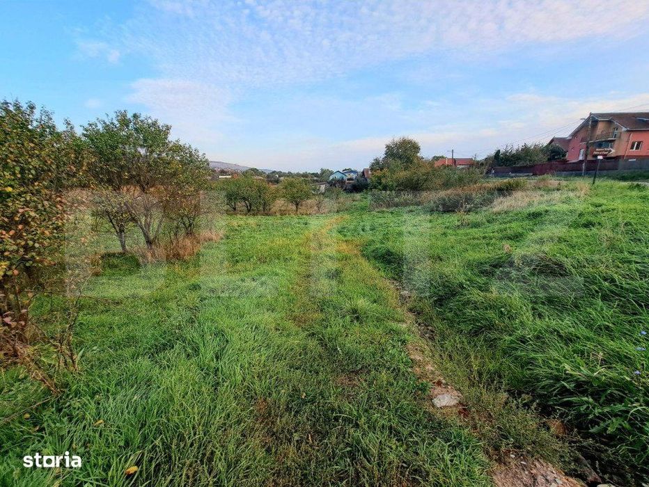 Teren extravilan, 1410 mp, situat pe Valea Chintaului
