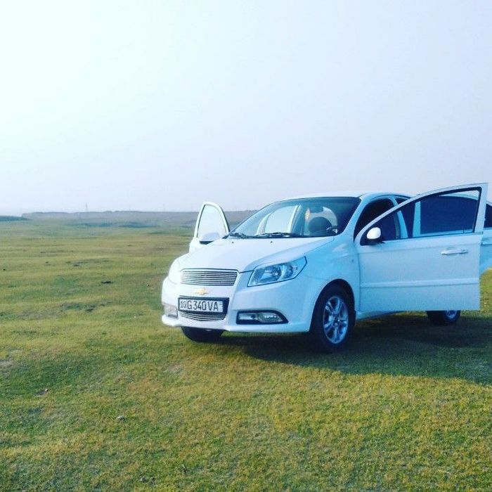 Kraskasi tozza polni shumkasi bor