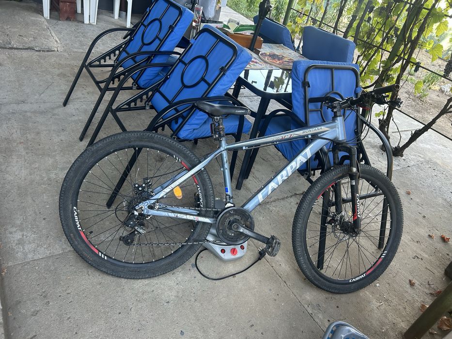 Bicicleta carpat