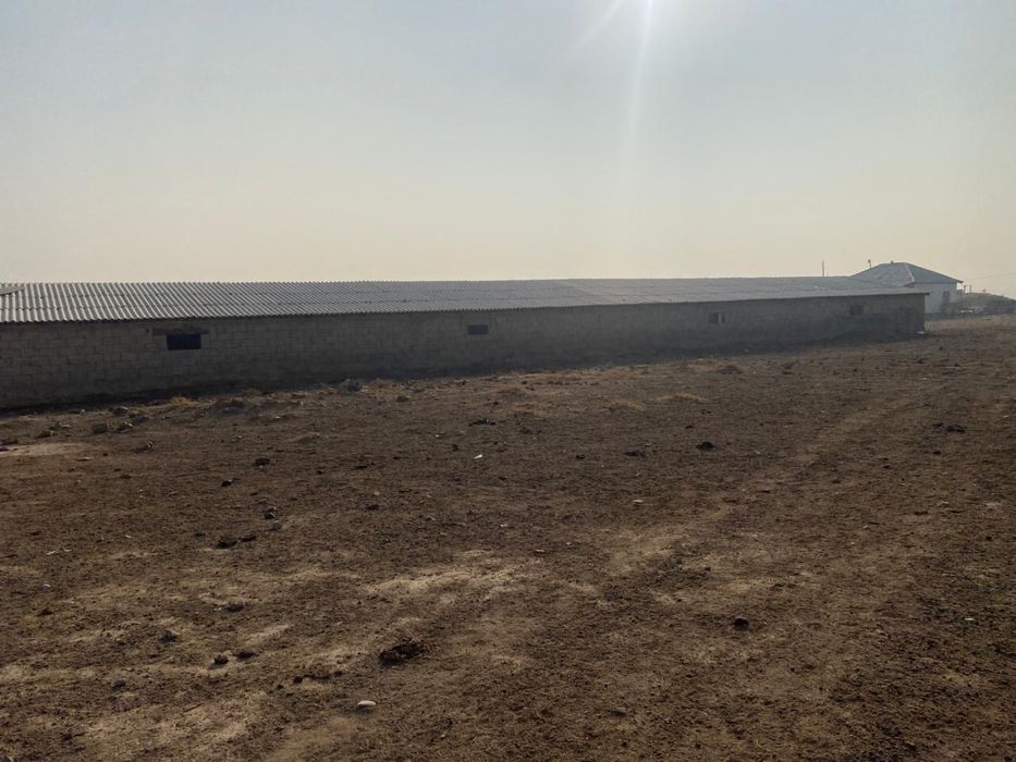 Фазенда, Качара, Қора. Вдоль трассы