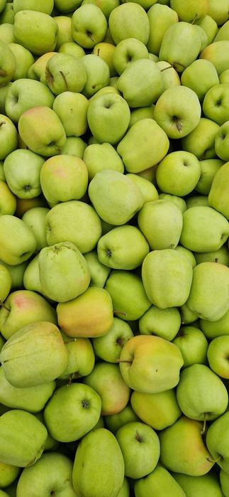 Mere și pere de vânzare