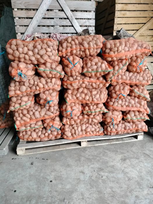 Cartofi de consum alb si rosu