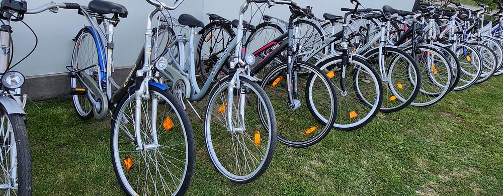 Bicicleta/Biciclete Dama