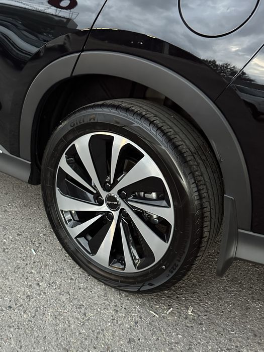 Byd chempion 2025 gibrid full