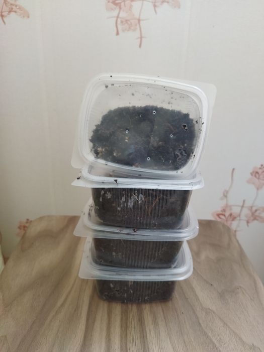 Черви для рыбалки