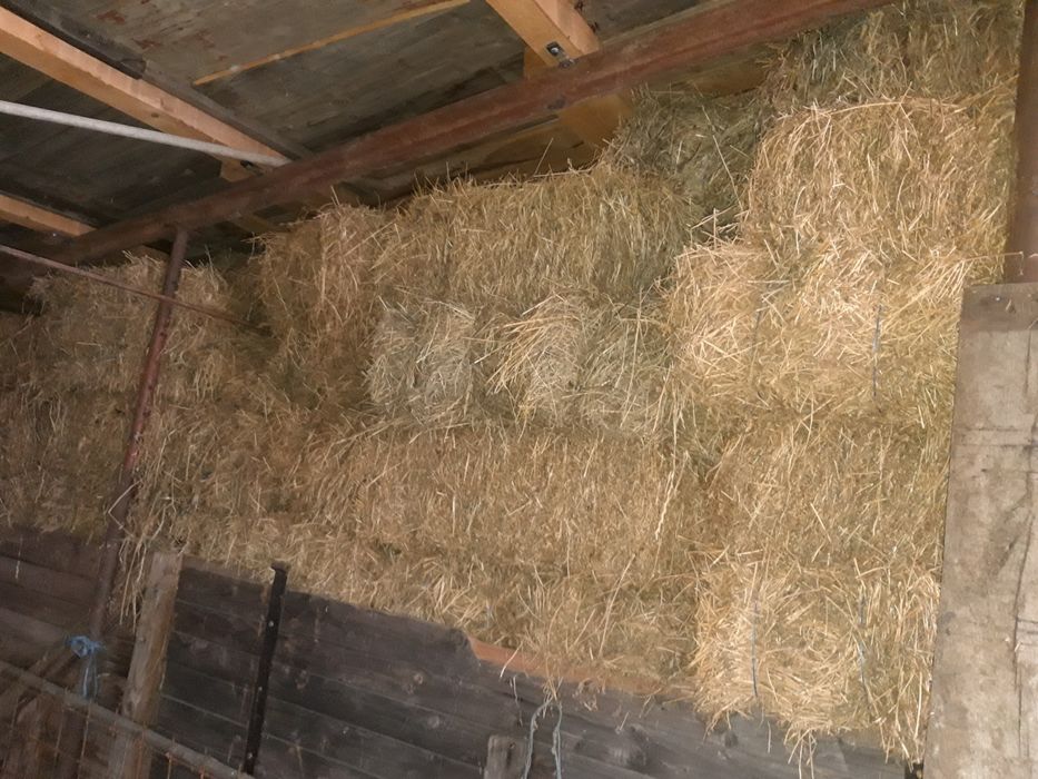 Baloți lucernă calitate max