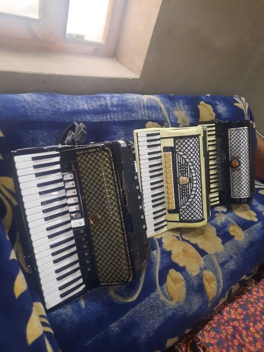 Аккордеоны разные