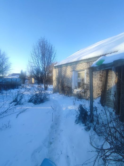 Продам дом селекционный