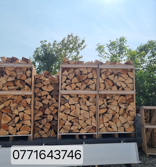 Lemne de foc fag tăiate si sparte