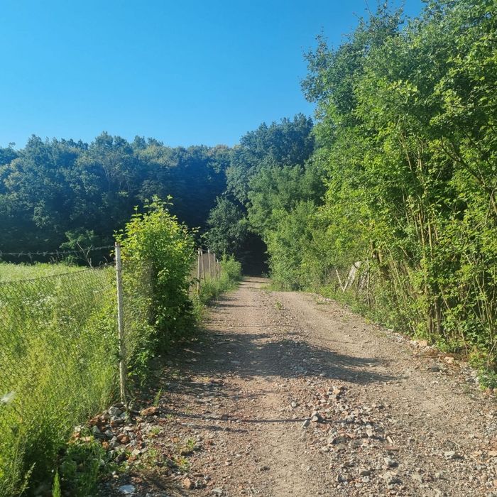 Teren extravilan, padure Zona Corunca Acățari