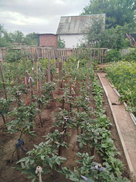 Продам дачу в д/о Оптимист
