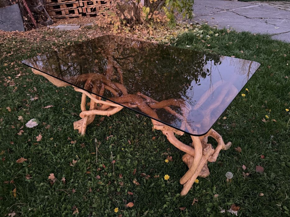 Маса корени на дъб уникат