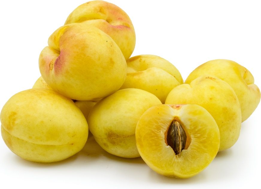 Cais (Soiul Ananas )la ghiveci