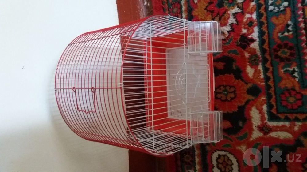 Qushlar uchun kletka