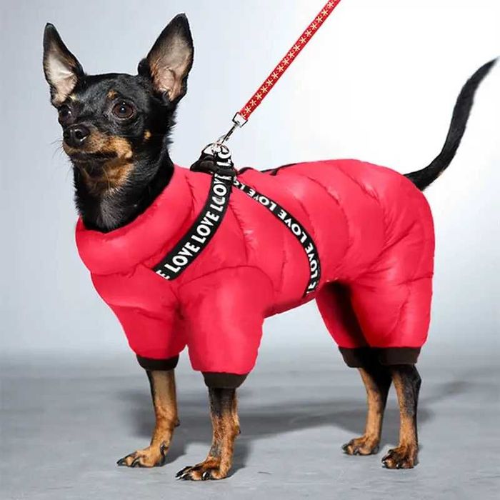 Дреха кучешка зимно ватирано модерно яке гащеризон за куче червен