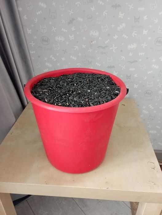 Продам одно ведро мелких семечек.