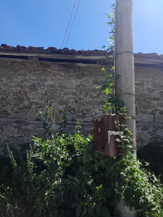 Продава се Парцел в Елена - 750 кв.м за 30 €/кв.м - Снимка #2