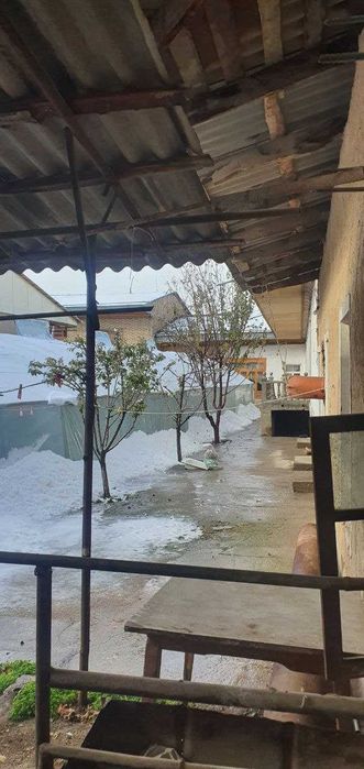 Toshkent shahar Yunusobod tumanida hovli sotiladi