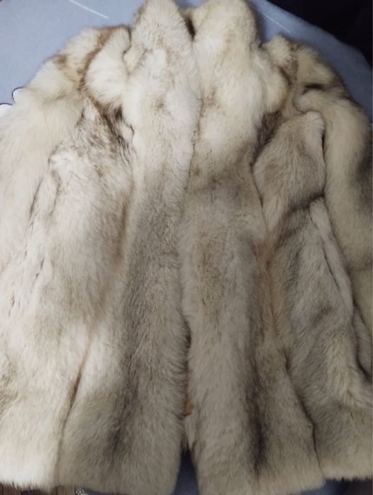 blana naturala(vulpe argintie) 1000 lei