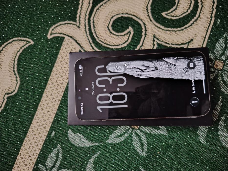 iPhone 13 Pro