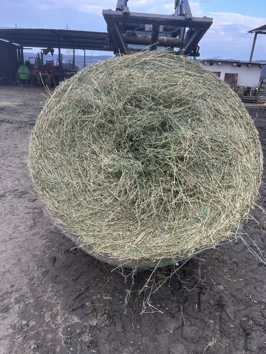 Baloti de paie, lucerna, fan