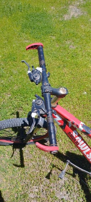 Велик обычный красный